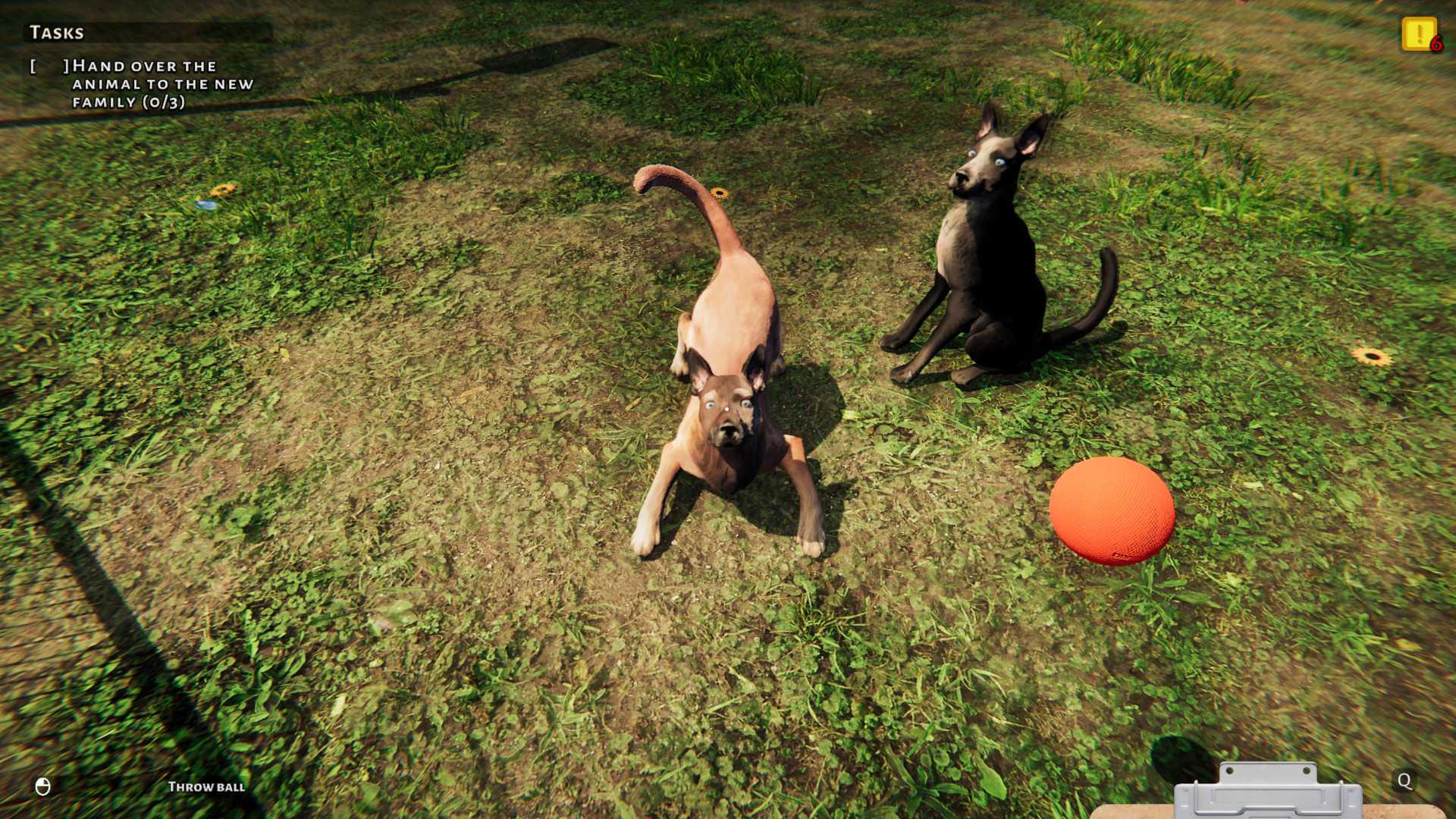 Animal Shelter: Prologue | Games Incubator, PlayWay
