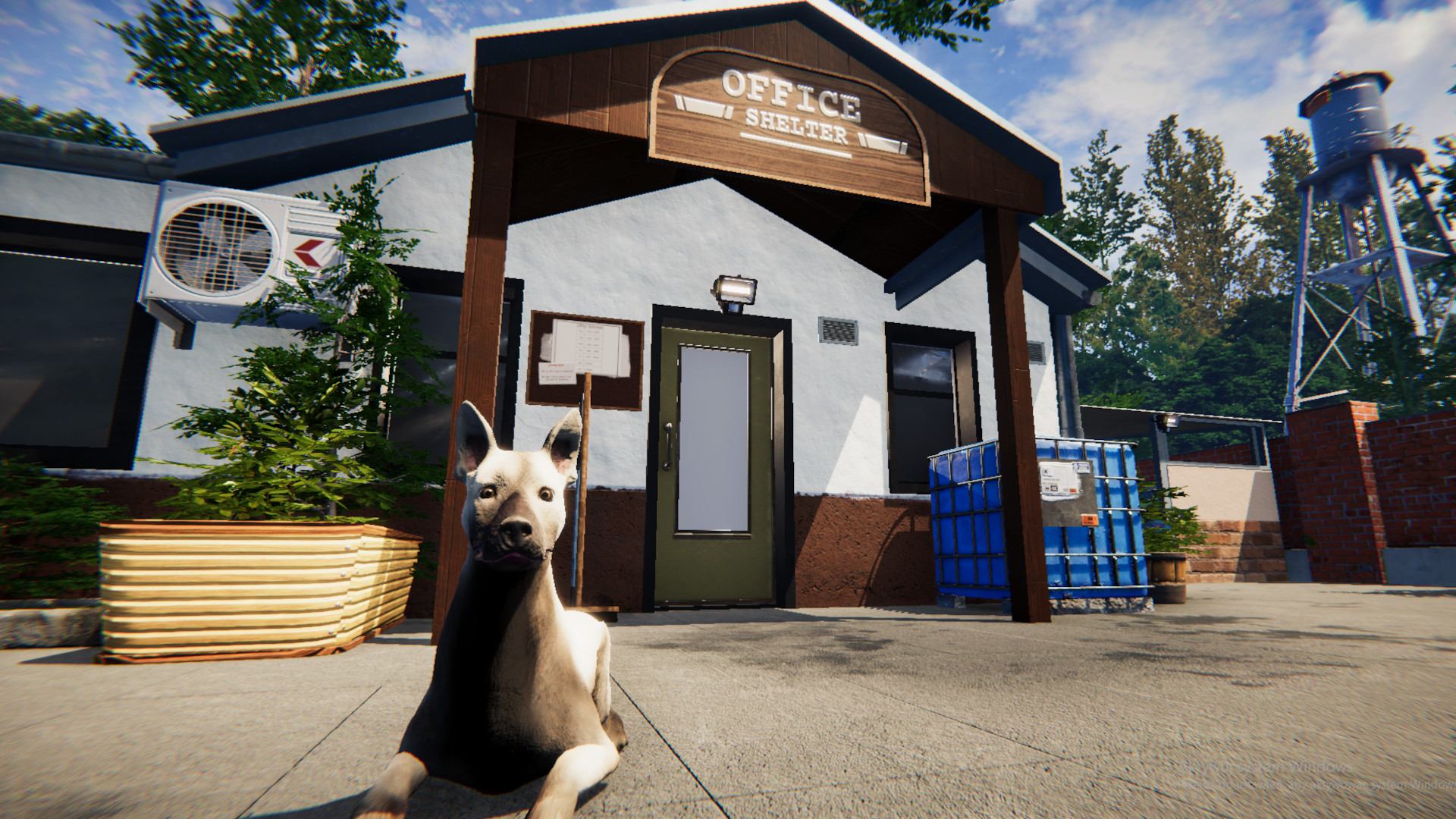Animal Shelter | Games Incubator, PlayWay