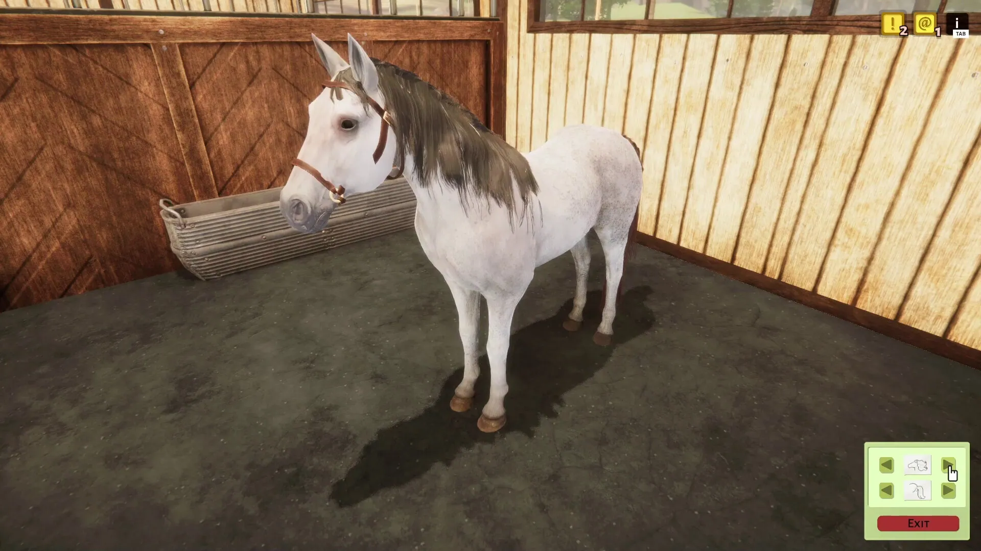 Animal Shelter Simulator Announced Horse Shelter DLC - Nano Gaming News